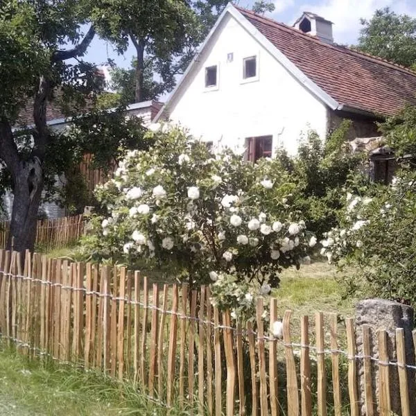 Útulný domek s malou zahrádkou, hotel a Dačice