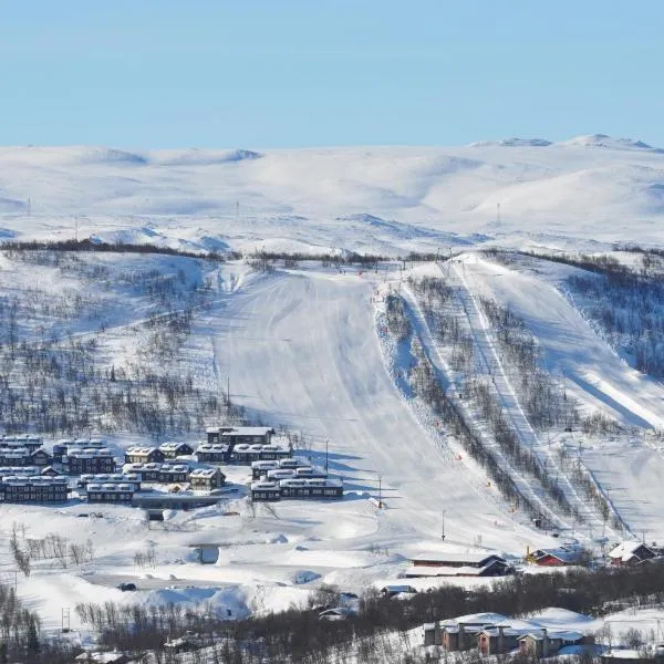 Havsdalsgrenda Geilo Apartments, hotell i Hovet