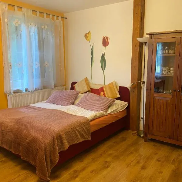 Alba Apartmany Železná Ruda, hotel v destinaci Železná Ruda