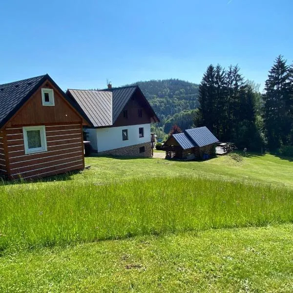 Apartmany Silver, hotel v Rokytnici nad Jizerou