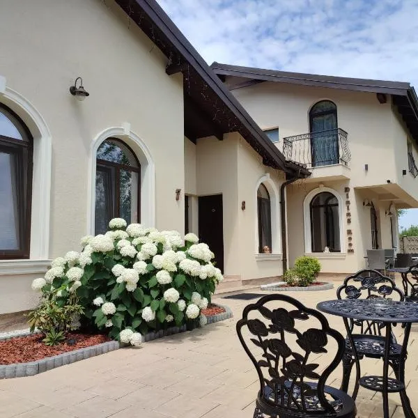 Villa Boutique Alina, hotel v destinaci Deva