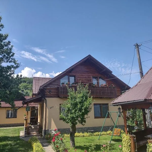 Pensiunea Ghiță Vasile, hótel í Vadu Izei