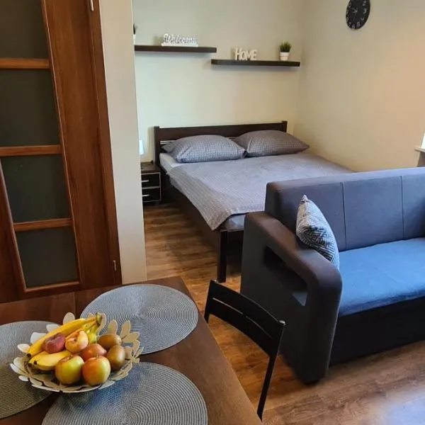 Apartament Home NETFLIX, ξενοδοχείο σε Pyskowice