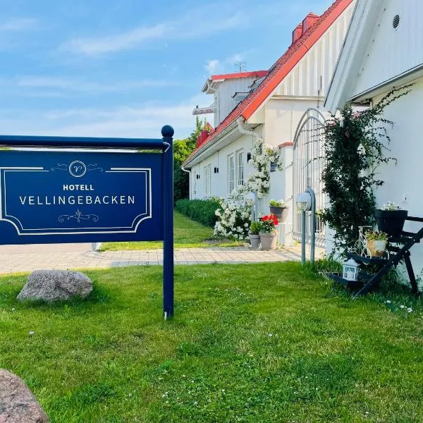 Hotell Vellingebacken, hotel en Skegrie