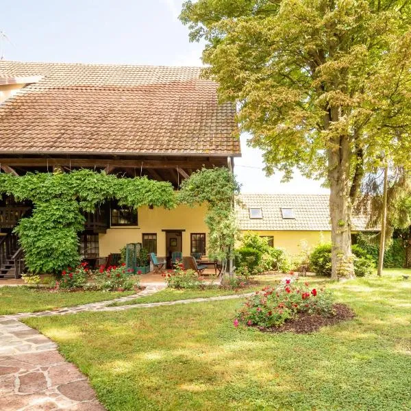 Hortensia - Piscine partagée, Hotel in Hessenheim