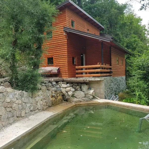 Potok kuca sa bazenom, hotel v destinaci Konjic