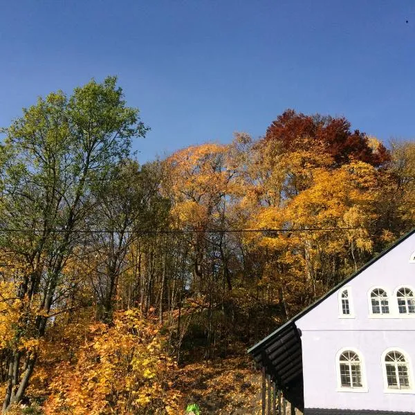 UBYTOVÁNÍ u BRABANTÍKA, hotel v destinaci Desná