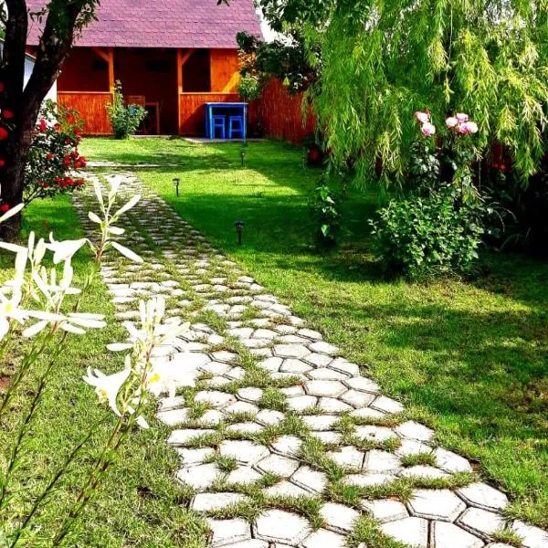 Casa Pavel Jurilovca, hotel in Jurilovca