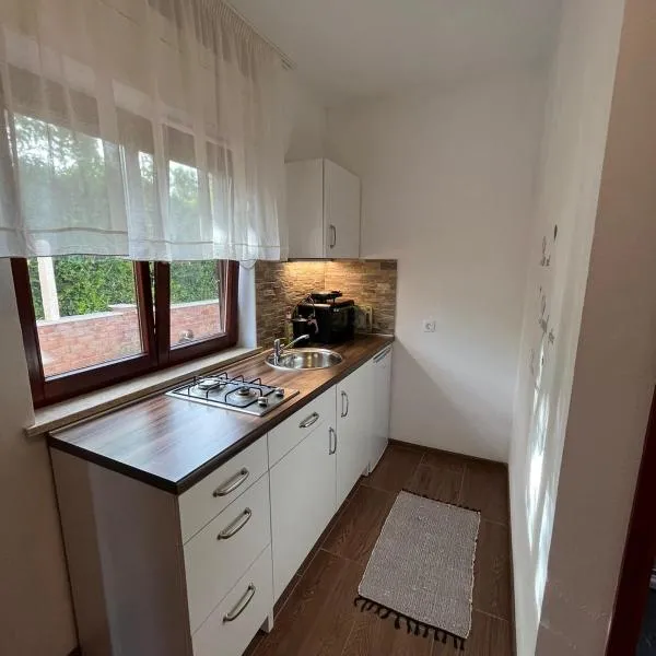 Studio apartman SAN 3, Hotel in Ližnjan