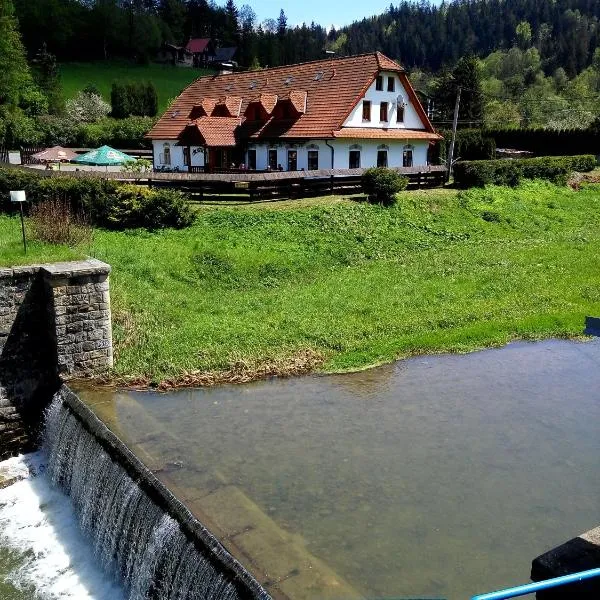 Penzion U Bušů, hotel v destinácii Malá Bystřice