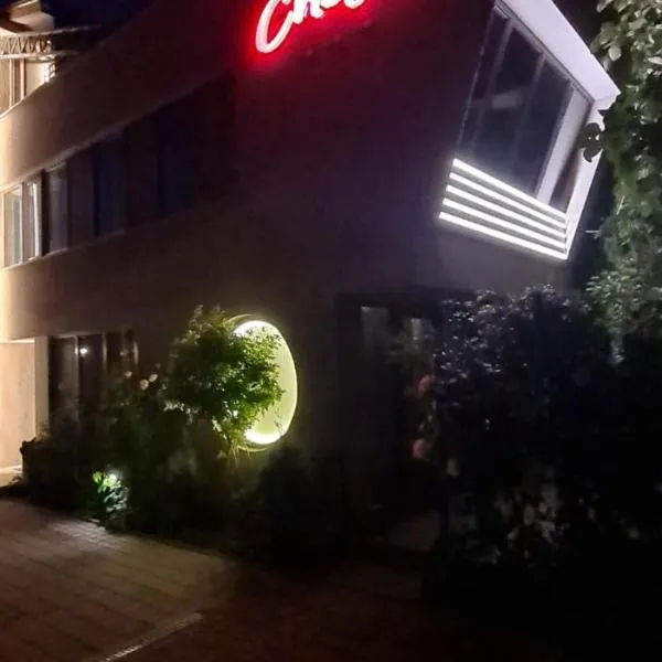 La Cristina: Slatina şehrinde bir otel