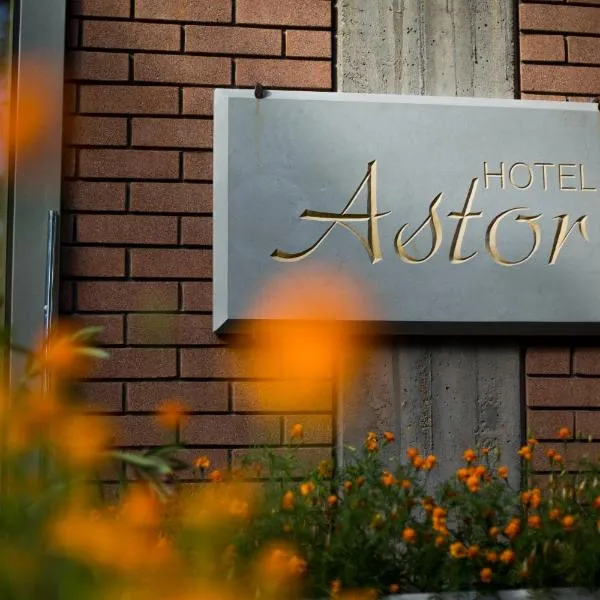 Hotel Astor, hotel v destinácii Modena