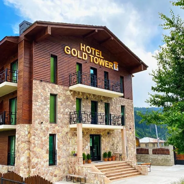 Hotel Gold Tower, hotel in Dolasvip'i