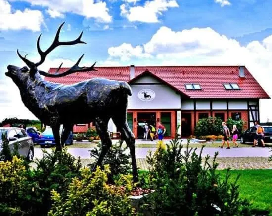 Pensjonat i Restauracja Hubertówka, hotel en Krośnice