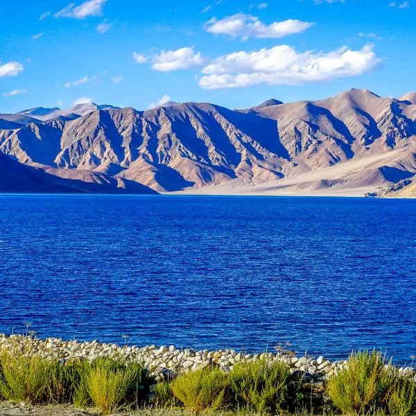 Astrostays at Pangong、Spangmikのホテル