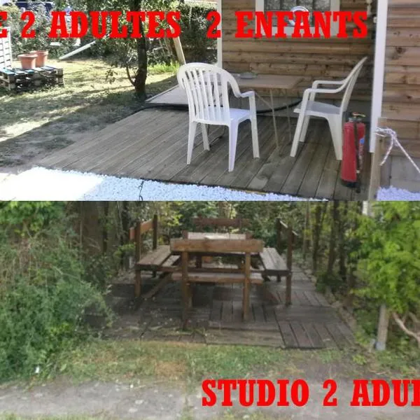 2 Gîtes à Fleury les aubrais 1 studio ou 1 gîte, ξενοδοχείο σε Fleury-les-Aubrais