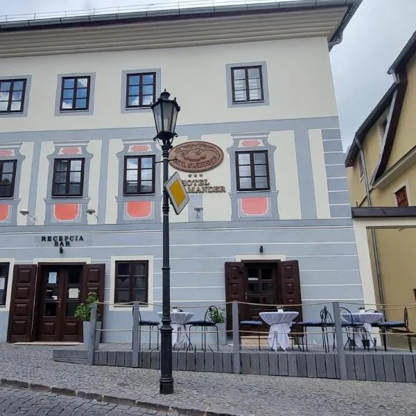 Hotel Salamander, hotel en Banská Štiavnica