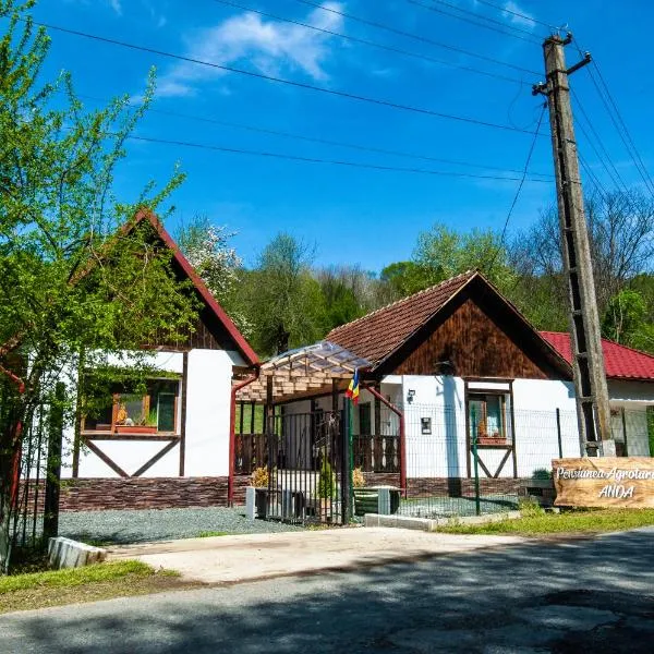 Pensiunea Anda - Savarsin, hotel in Savarsin