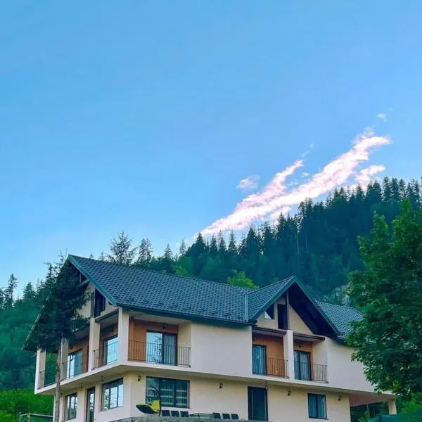 Silver Mountain Villa Colibita, hotel en Colibiţa