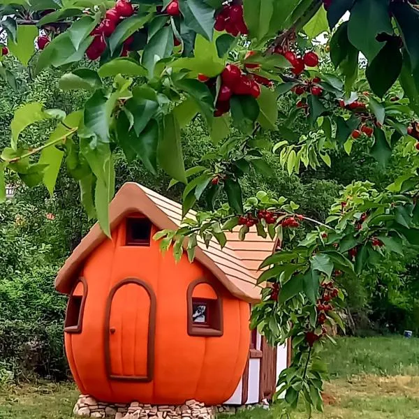 Krka Magic Pumpkin, hotel di Rupe
