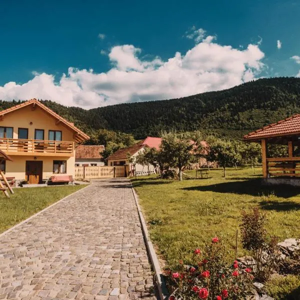 Casa Bunicilor โรงแรมในNucşoara