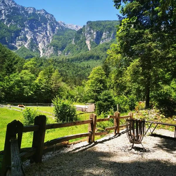 Skalca, viešbutis mieste Kamniška Bistrica