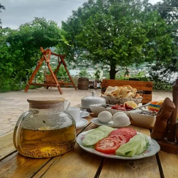EleGaya Guest house, hotel v destinaci Ijevan