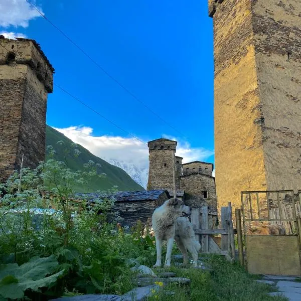 Nizharadze's Tower, хотел в Ушгули