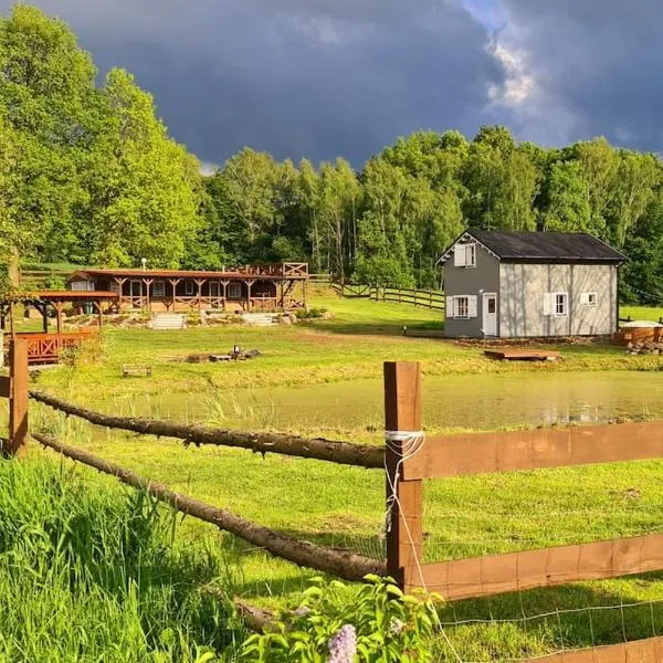 Domek z Sauną i balią jakuzii w głuszy, hotel in Borzynowo