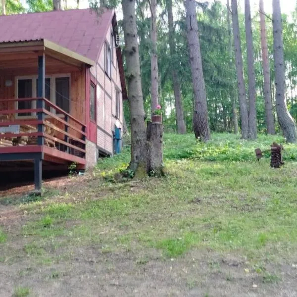 Oleandria- ,, Domek Malinka" nr 35, hotel v destinaci Biskupiec