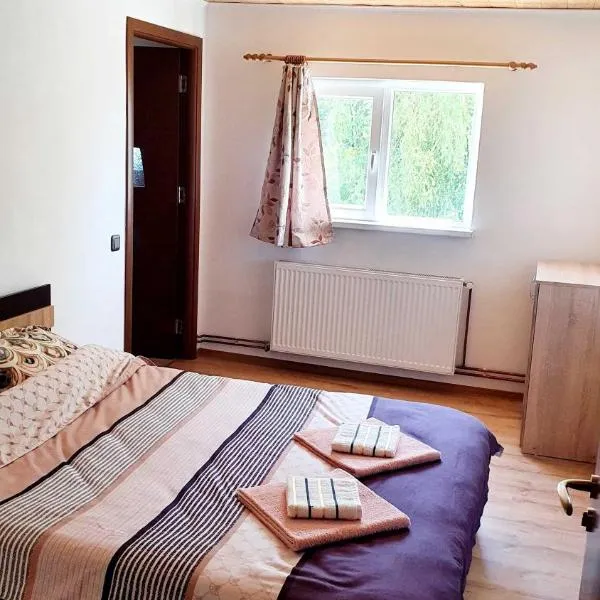 Vila Karina, hotel in Cîrţa