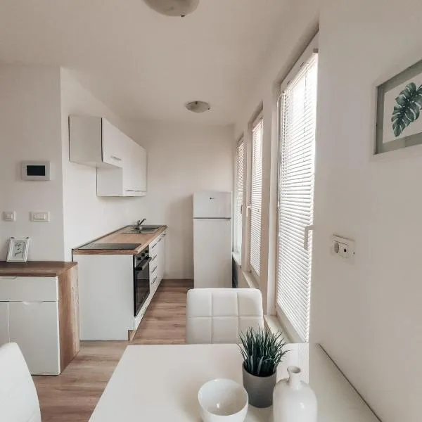 Studio Apartment Sanya, hotel in Ljubljana
