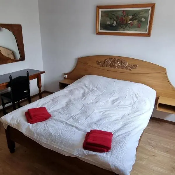 Veronica STUDIO, hotel i Săvineşti