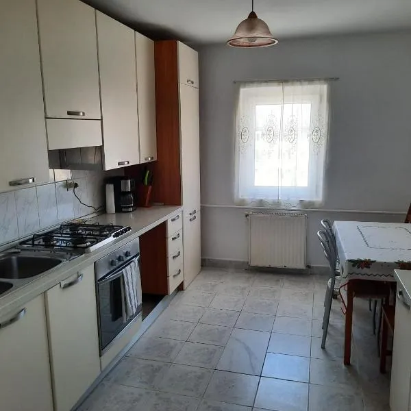 Apartament deosebit、レシツァのホテル