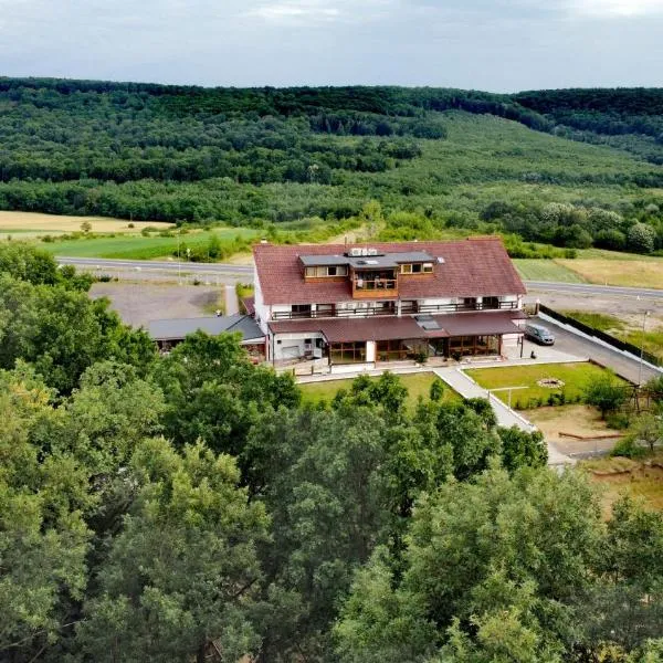 MARADA felix, hotel in Hidişelu de Sus