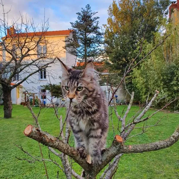 La Maison du Main Coon, ξενοδοχείο σε Reze