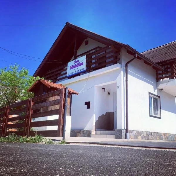 Casa Madalina, khách sạn ở Săpînţa