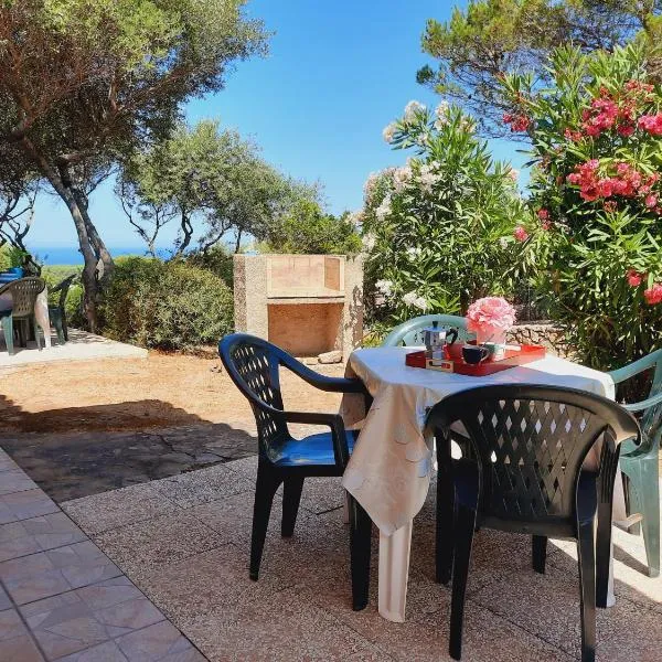Villette Oleandri Vista Mare, hotel Rena Majoréban