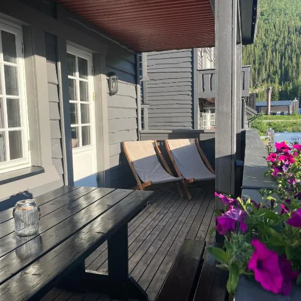 Tinden: Grøndalen şehrinde bir otel