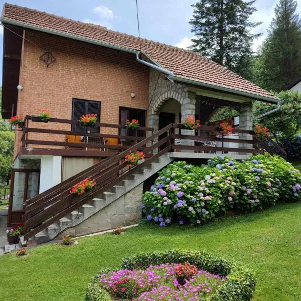 Apartman Jovanovic-Rudnik, Hotel in Rudnik