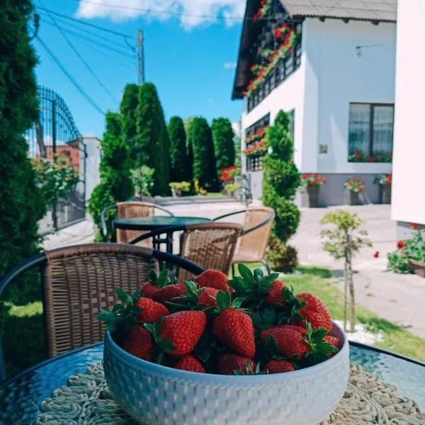 Pensiunea Casa Andreea - Bârsana Maramureș, hotel a Bîrsana
