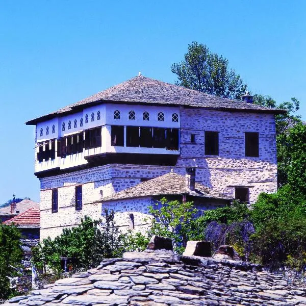 Santikos Mansion, hotel in Vizitsa