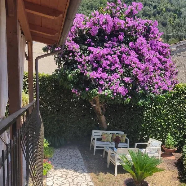La Bouganville e Il Gelsomino, hotel a Pietrasanta