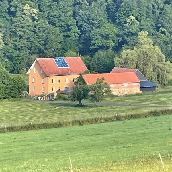 Römische Aumühle, hotel in Hadamar