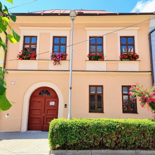 Apartment in a historical house in the center of Levoča, hotel in Uloža