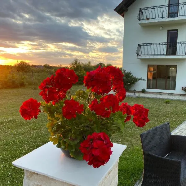 아브리그에 위치한 호텔 Pensiunea Ivoire