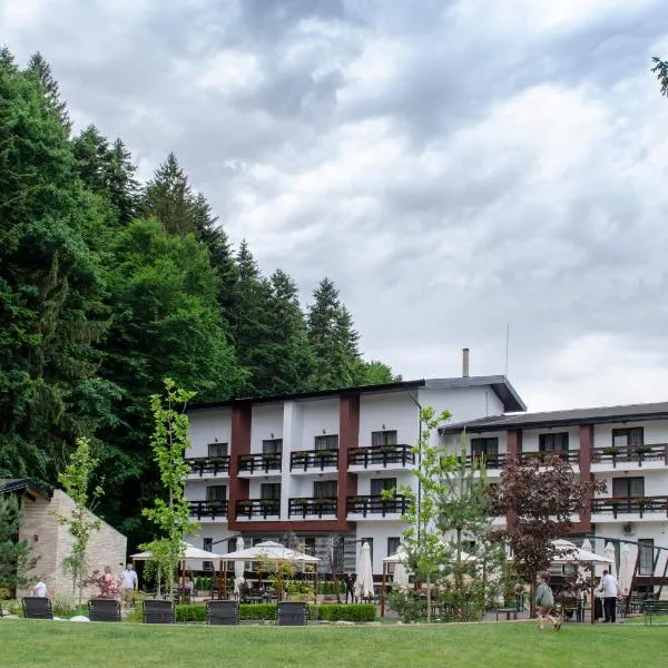 Piatra Pinului Ski & Spa, hotel v destinaci Hura-Humora