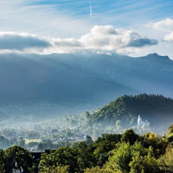 Transylvanian Inn, hotel en Bran