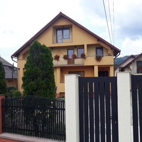 Pensiunea Popan โรงแรมในŞieu