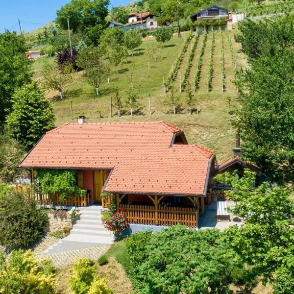 Kuca za odmor Hiza i Vila, hotell sihtkohas Krapina